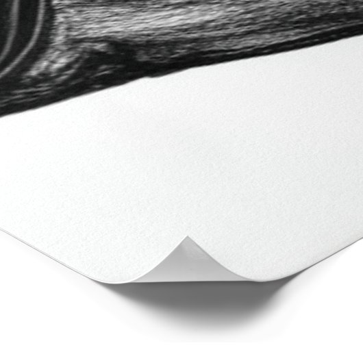 Crow Perched on Bare Winter Branches Poster (Hoek)