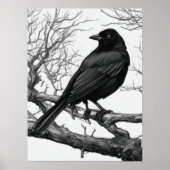 Crow Perched on Bare Winter Branches Poster (Voorkant)
