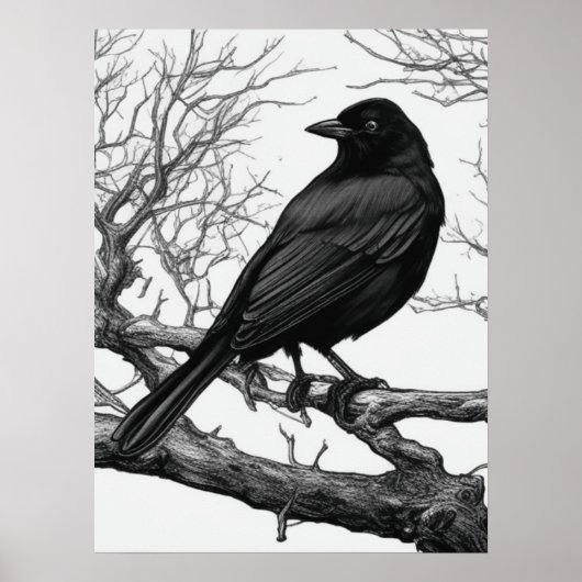 Crow Perched on Bare Winter Branches Poster (Voorkant)