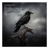 Crow Perfect Poster (Voorkant)