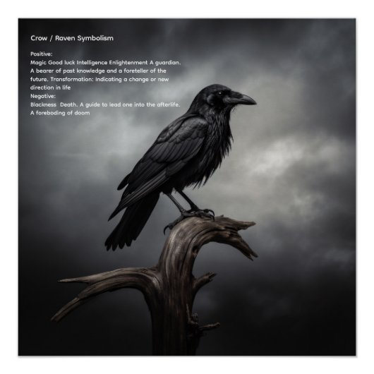Crow Perfect Poster (Voorkant)