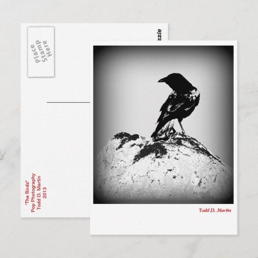 Crow Post Card Briefkaart (Voorkant / Achterkant)