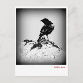 Crow Post Card Briefkaart (Voorkant)