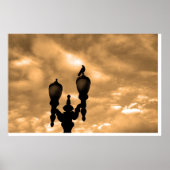 Crow Poster (Voorkant)