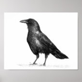 Crow Poster (Voorkant)