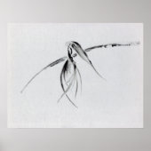 Crow Poster (Voorkant)