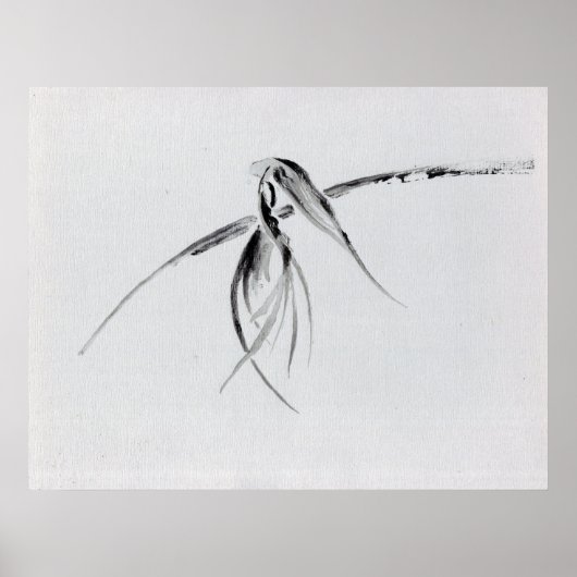 Crow Poster (Voorkant)