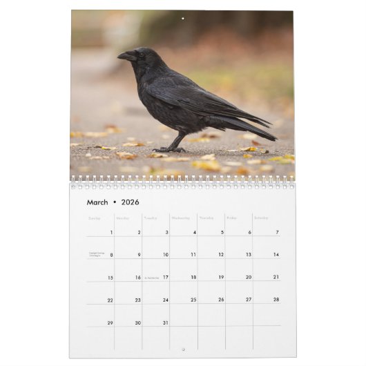 Crow Raven 2025 Kalender (Mar 2026)