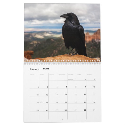 Crow Raven 2025 Kalender (Jan 2026)