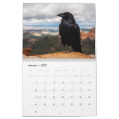 Crow Raven 2025 Kalender (Jan 2027)