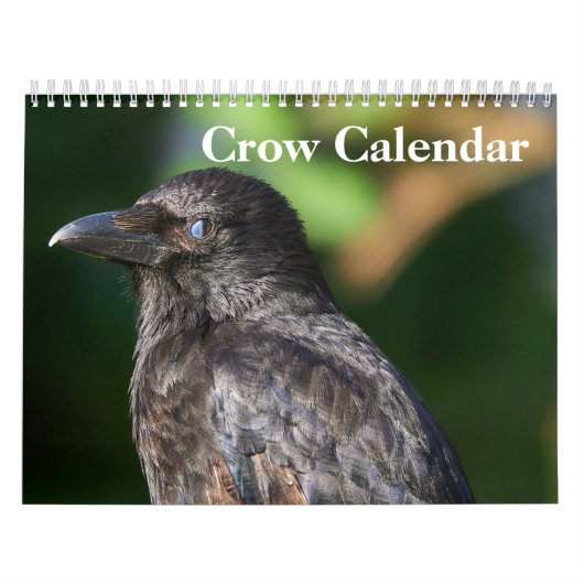 Crow Raven 2025 Kalender (Hoes)