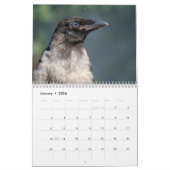Crow Raven 2025 Kalender (Jan 2026)