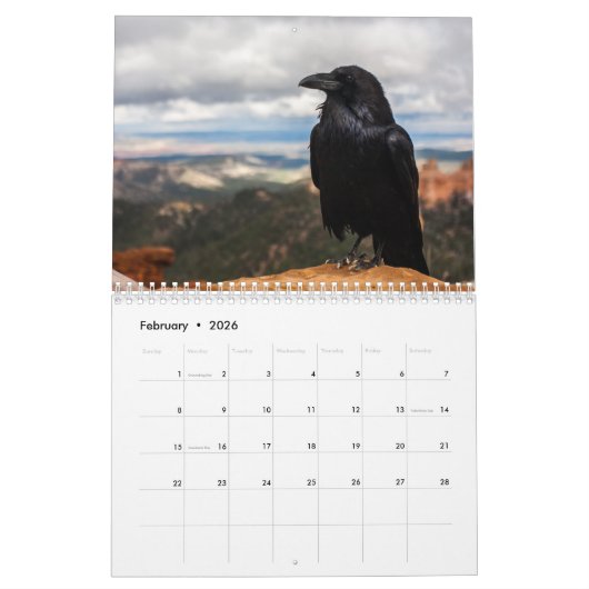 Crow Raven 2025 Kalender (Feb 2026)