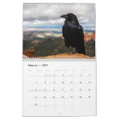 Crow Raven 2025 Kalender (Feb 2027)