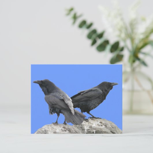 Crow Raven Briefkaart (Staand voorkant)