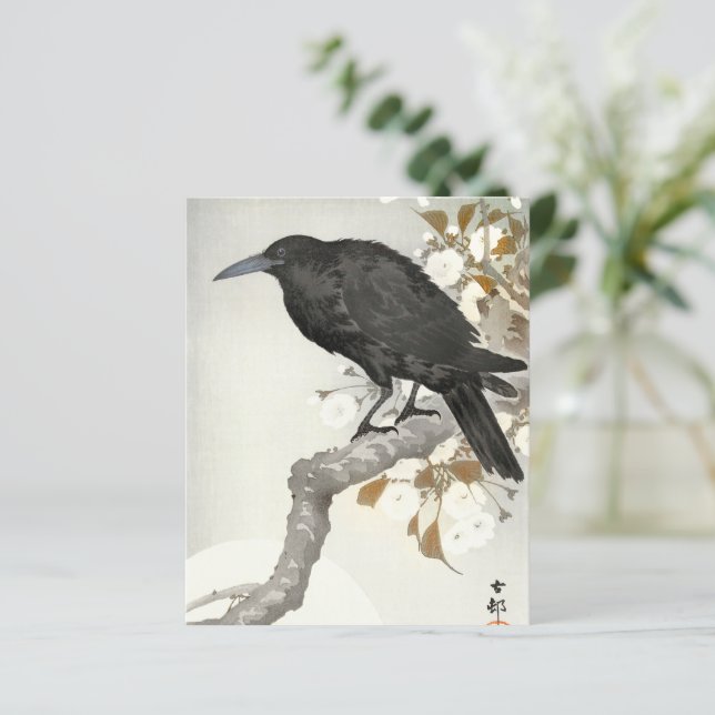 Crow Raven Koson Japanese Bird (Staand voorkant)
