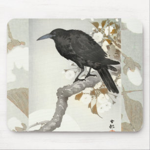 Crow Raven Koson Japanese Bird Muismat