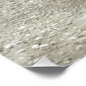 Crow/Raven Poster (Hoek)