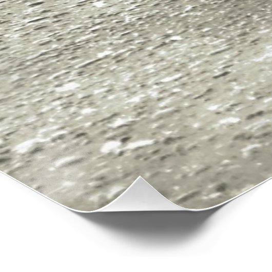 Crow/Raven Poster (Hoek)