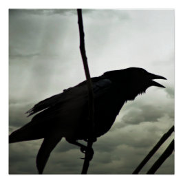 Crow/Raven Poster