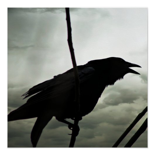 Crow/Raven Poster (Voorkant)