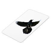 Crow Raven Premium Flexi Magnet Magneet (Linkerzijde)