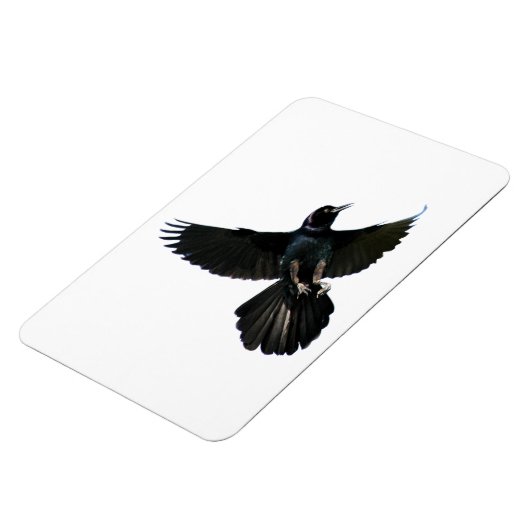 Crow Raven Premium Flexi Magnet Magneet (Linkerzijde)