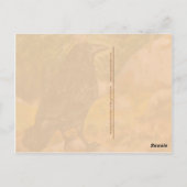 Crow Raven teasing Grizzly Beer wildlife briefkaar Briefkaart (Achterkant)