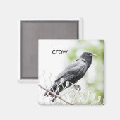 Crow Refkoelkast Magnet (Voorkant / Achterkant)