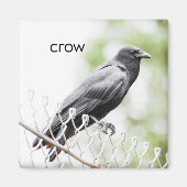 Crow Refkoelkast Magnet (Voorkant)