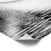 Crow Reflecteerd in water - B&W-foto Foto Afdruk (Hoek)