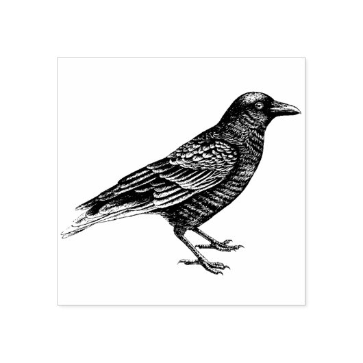 Crow Rubber Stamp Rubberstempel (Afrduk)