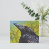 Crow Spring Sky Briefkaart (Staand voorkant)