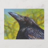 Crow Spring Sky Briefkaart (Voorkant)