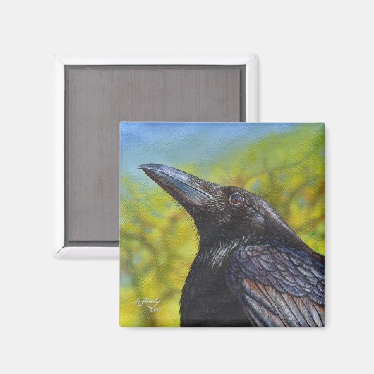 Crow Spring Sky Magneet (Voorkant / Achterkant)