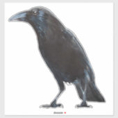 Crow sticker (Vel)