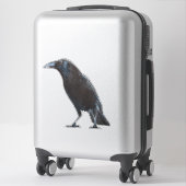 Crow sticker (Koffer)