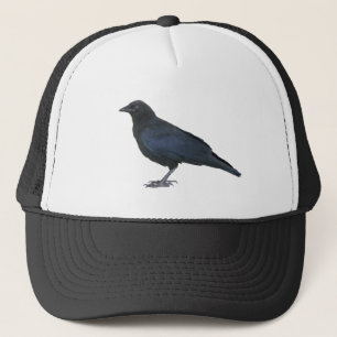 Crow Trucker Pet