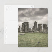 Crow voor Stonehenge, Engeland Briefkaart (Voorkant / Achterkant)