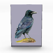 Crow Waterverf Painting Fotoblokken (Voorkant)