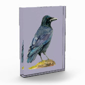 Crow Waterverf Painting Fotoblokken (Links)