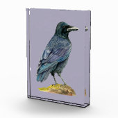 Crow Waterverf Painting Fotoblokken (Rechts)