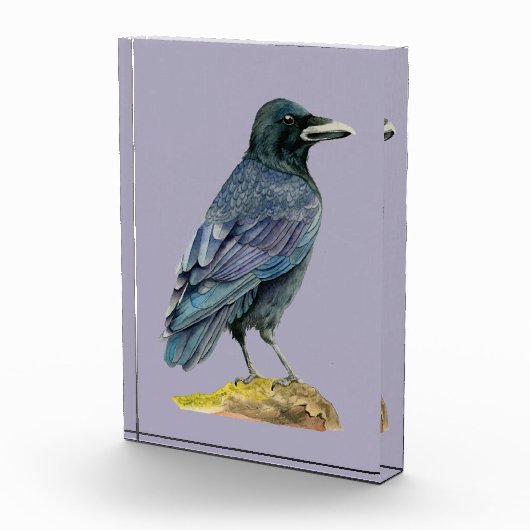 Crow Waterverf Painting Fotoblokken (Rechts)