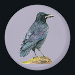 Crow Waterverf Painting Magneet<br><div class="desc">Dit is een waterverf schilderij van kraai. Ik denk dat kraaien mooie veren hebben - zwart,  maar paarse en blauwe kleur onder het zonlicht. Deze kraai is geperst op een boomlogboek met mos dat op de bovenkant groeit.</div>
