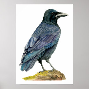 Crow Waterverf Painting Poster
