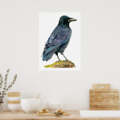 Crow Waterverf Painting Poster (Keuken)