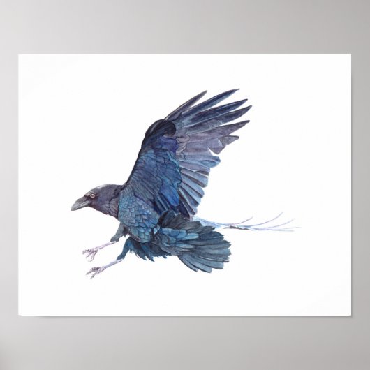 Crow Waterverf Painting Poster (Voorkant)