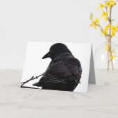 Crow Wenskaart Kaart (Gele Bloem)