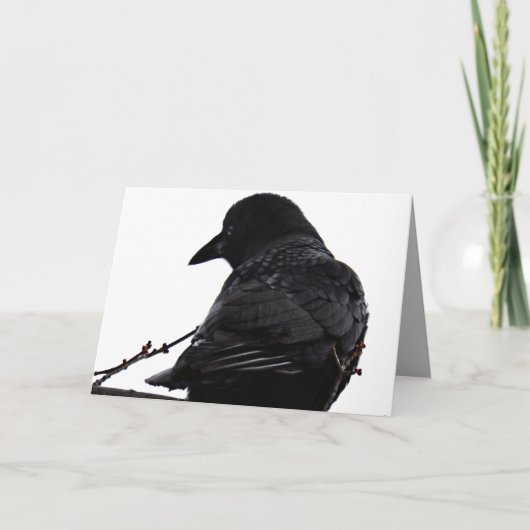 Crow Wenskaart Kaart (Voorkant)
