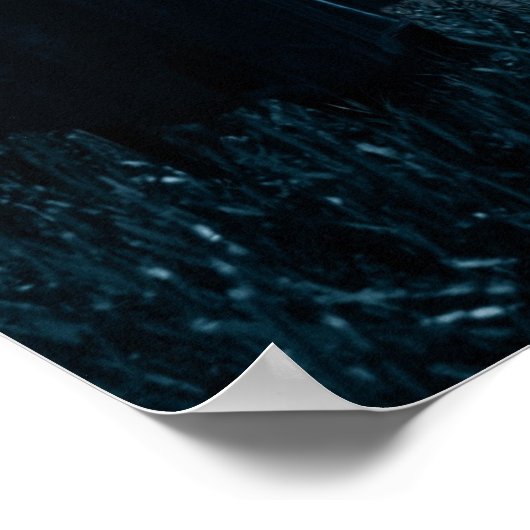 Crow Witch Poster (Hoek)